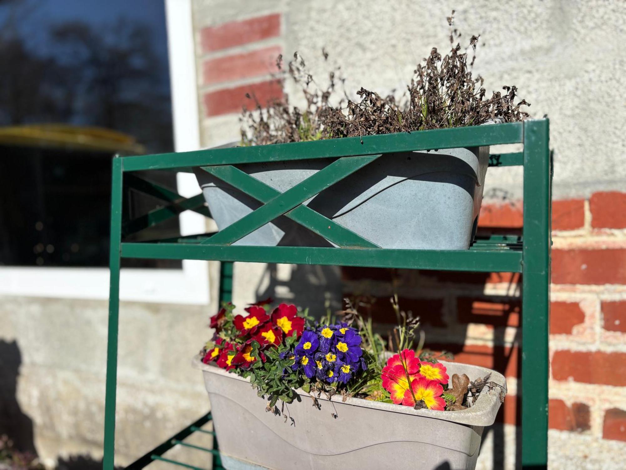 Maison De Campagne Lumineuse Spacieuse Dans Impasse Au Calme A Proximite D'Un Chateau Deux Verandas Grand Jardin Cabane Pour Velos, Pres Port En Bessin Et Bayeux, Proche Plages Du Debarquement Commes Екстер'єр фото